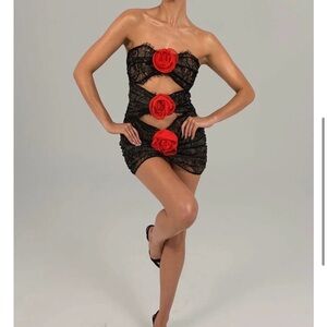 The Dolls House Black Lace Dress with Red Rose Accents (New)